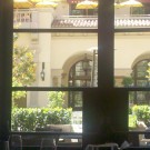 Picture 008