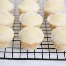 IMG_0369-2