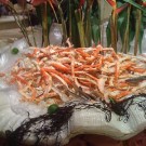 IMG_0536