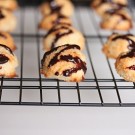 IMG_4479