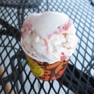IMG_4552