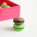 IMG_9317-2