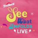 See What Unfolds Logo
