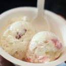 jenis-splendid-17