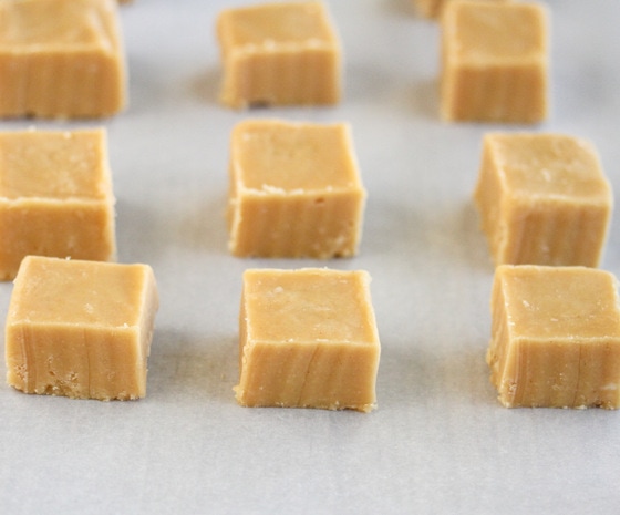 close-up photo of microwave peanut butter fudge