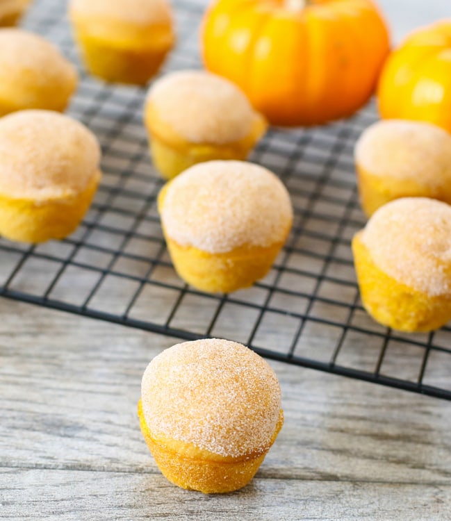 Mini Pumpkin Donut Muffins Kirbie S Cravings