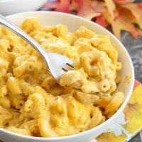 photo of a bowl of pumpkin macaroni and cheese