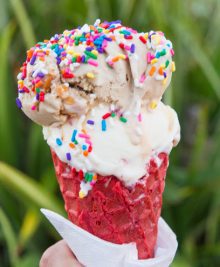 https://kirbiecravings.com/wp-content/uploads/2015/11/sprinkles-ice-cream-2-220x267.jpg