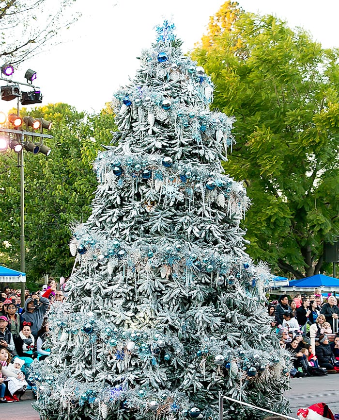 photo of a decorated tree in the parade