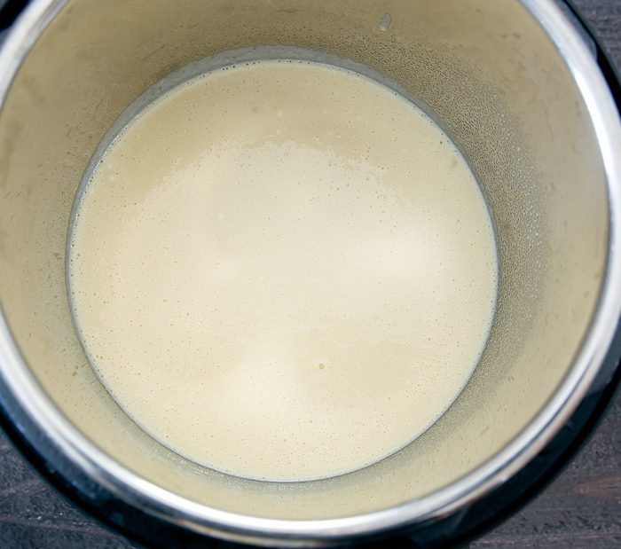 photo of the pancake batter inside an instant pot