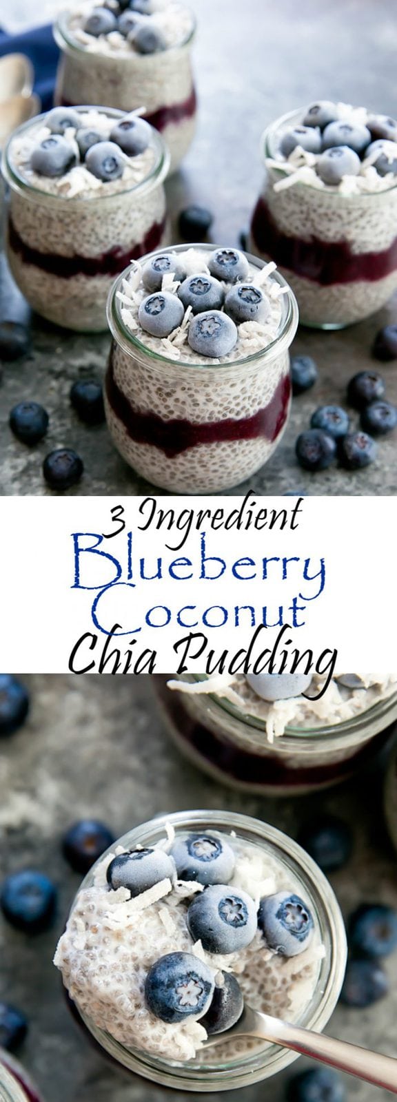 3 Ingredient Blueberry Coconut Chia Pudding