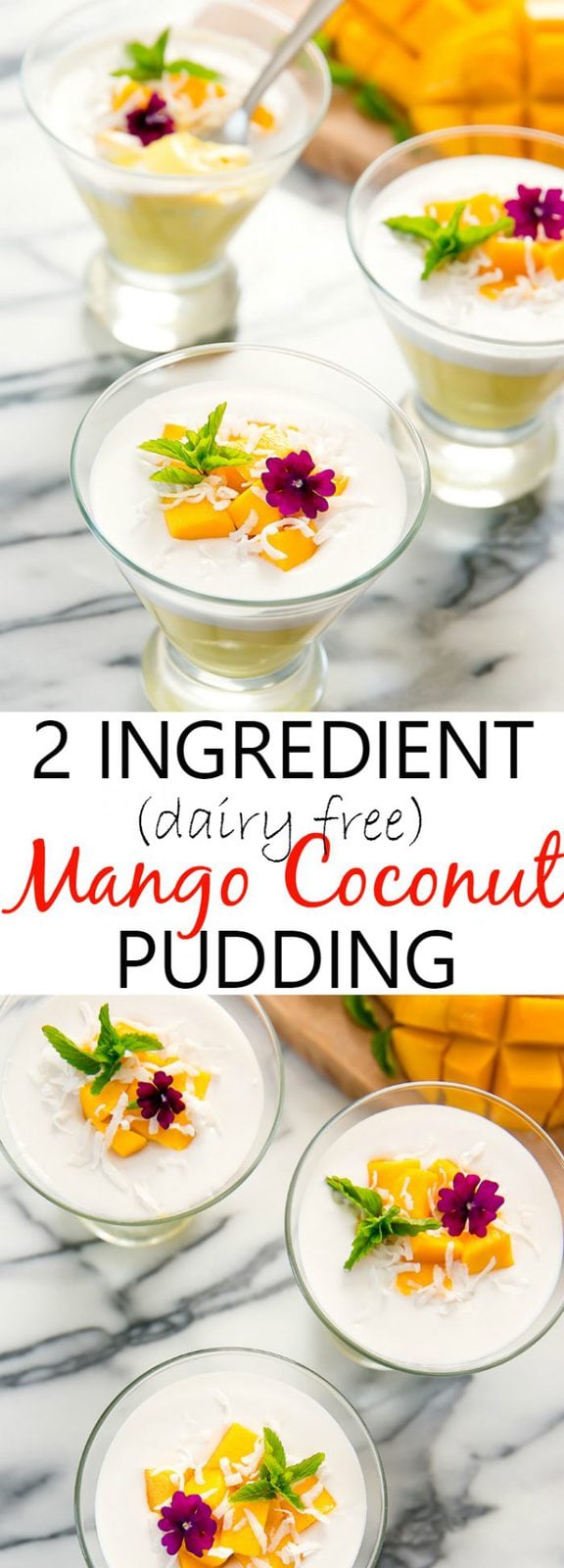 2 Ingredient Mango Coconut Pudding (Dairy Free)