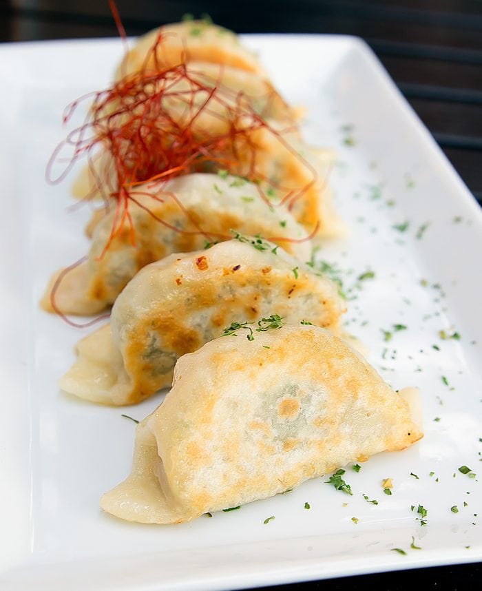 photo of a plate of dumplings served at Steamy Piggy
