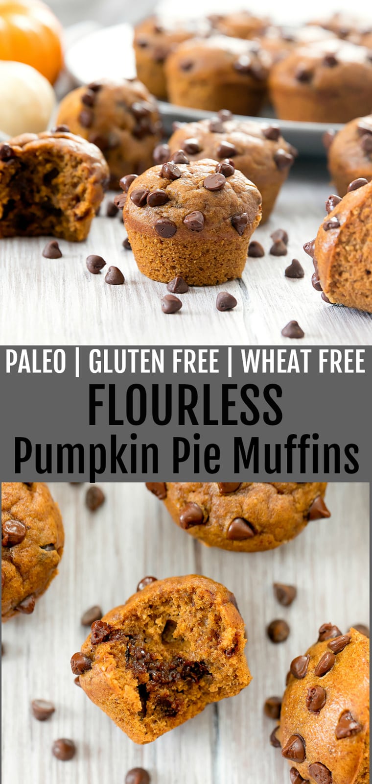 Flourless Pumpkin Pie Muffins - Kirbie's Cravings