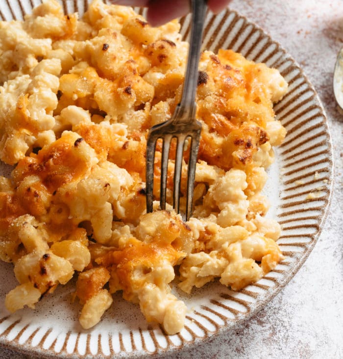 close-up photo of a plate of macaroni and cheese with a fork