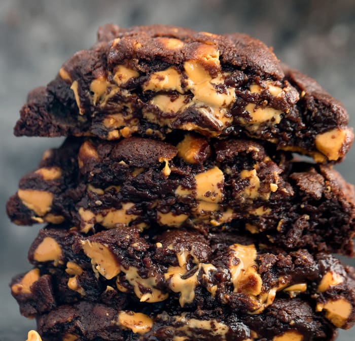 close-up photo of chocolate cookies
