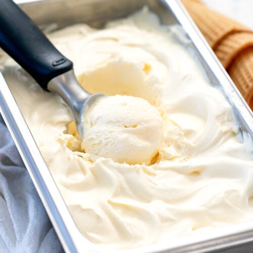 12 Easy 2 Ingredient Ice Cream Recipes You Will Love!