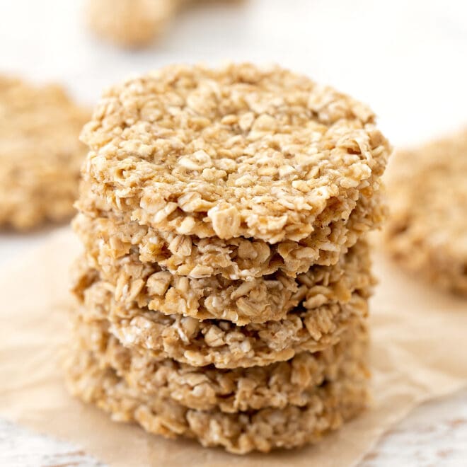 2 Ingredient Apple Oatmeal Cookies (No Flour, Eggs, Butter or Oil ...