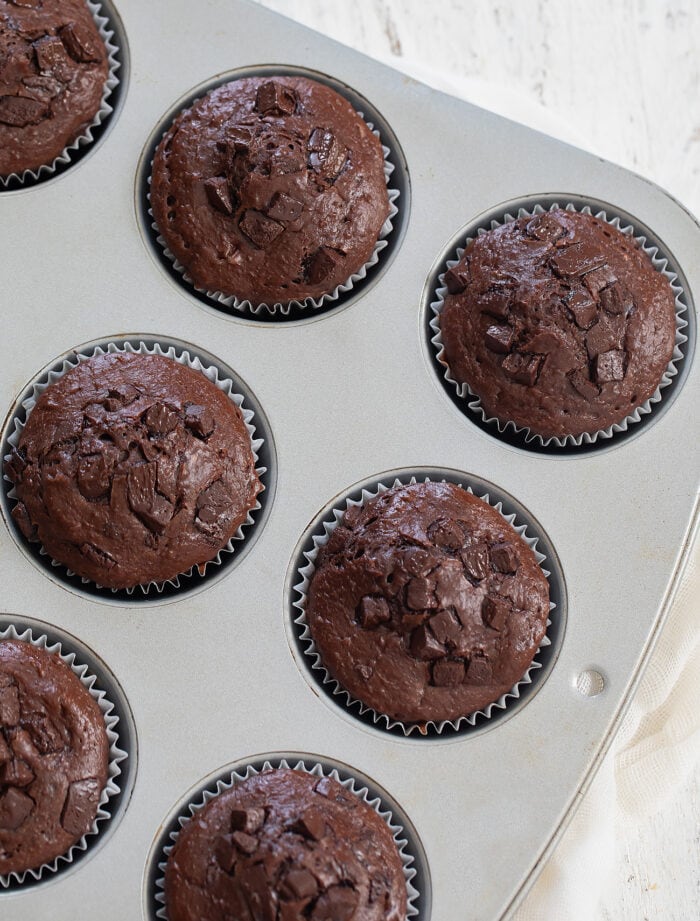 chocolate muffins in a muffin pan.