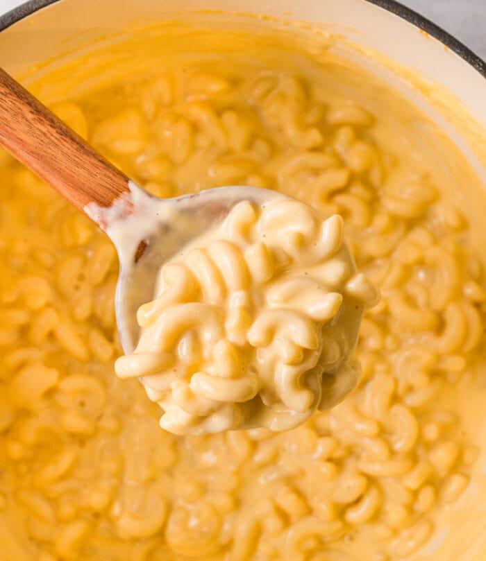 a spoonful of macaroni and cheese.