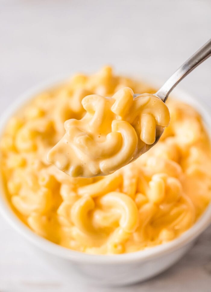a spoonful of mac and cheese.