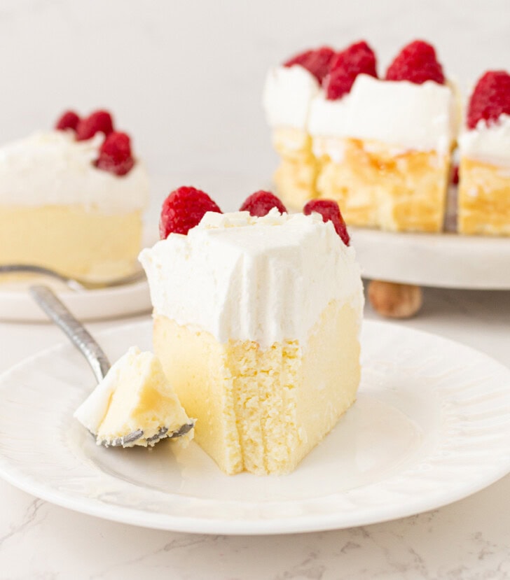 A slice of Yogurt Cheesecake on a plate with a bite taken from it on a fork