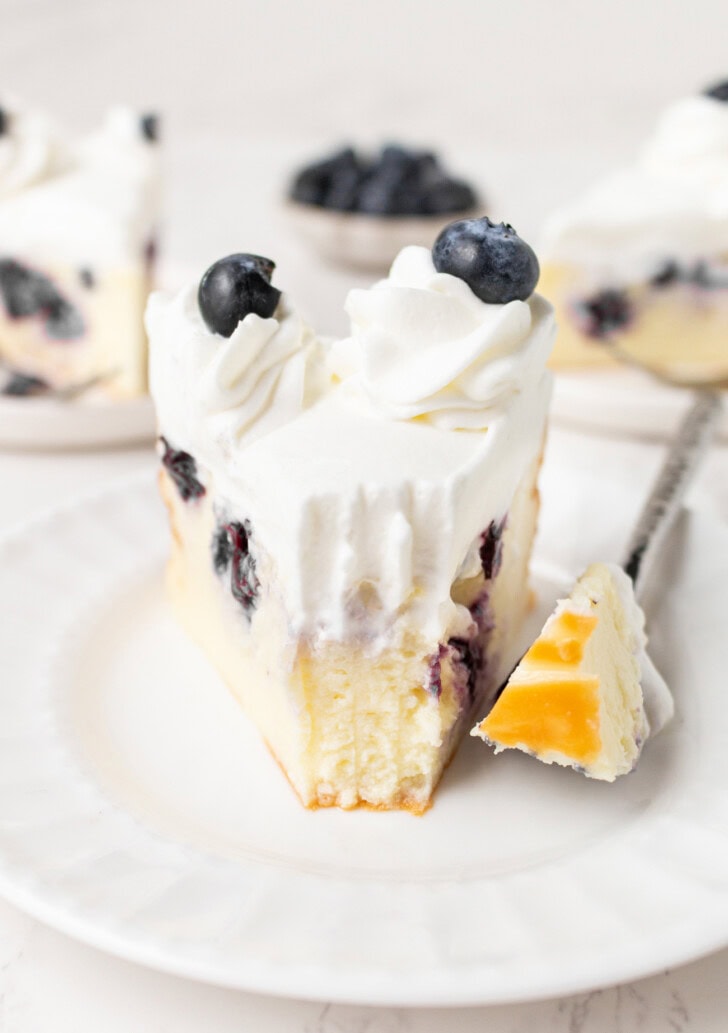 A slice of Blueberry Cottage Cheesecake with a bite on a fork